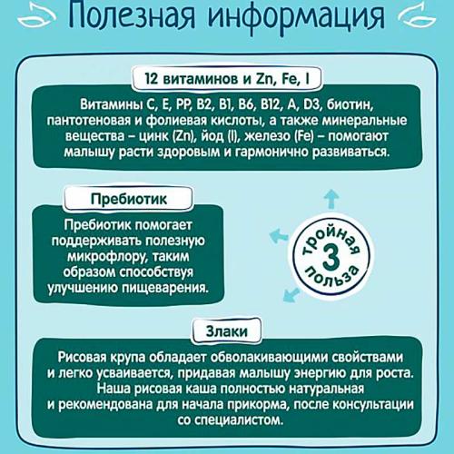 Каша безмолочная рисовая 200 г от 4 месяцев ФрутоНяня 90996 фото 4
