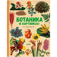 Энциклопедия Ботаника в картинках Clever