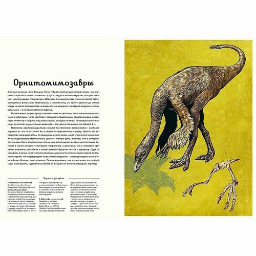 Энциклопедия Динозавриум Махаон 50220864 фото 5