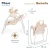 Электрокачели Pituso Marbella TY-008-Beige Dot