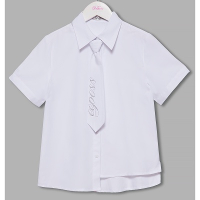 Блузка школьная для девочки Deloras C64211S белая 3