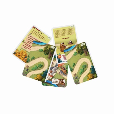 Настольная игра Детектим Гонка неЧемпионов Стиль Жизни 2