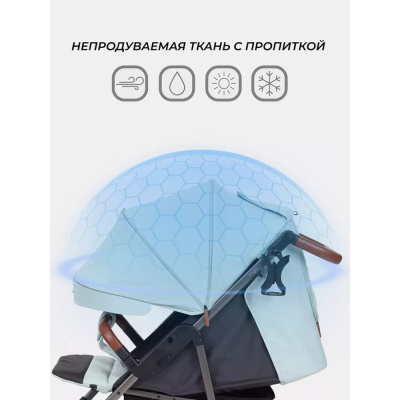 Коляска прогулочная Rant Vega RA057 Blue