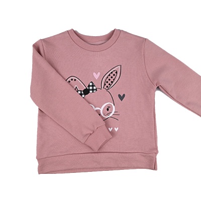 Комплект(пл+свитшот) деми пудра DMB 9491 3