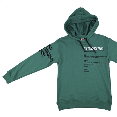 Свитшот демисезонный DMB 4923 2