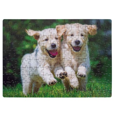 Пазл 160 Зверята Dream Makers RI1603 3