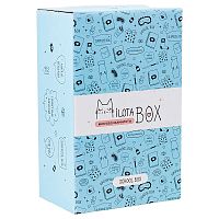 Подарочный набор MilotaBox mini School Box iLikeGift MBS019