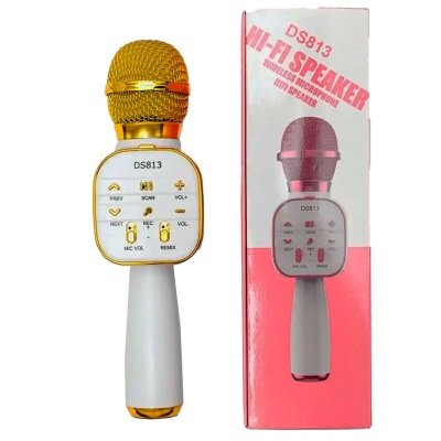 Микрофон караоке беспроводной детский Junfa DS813 3