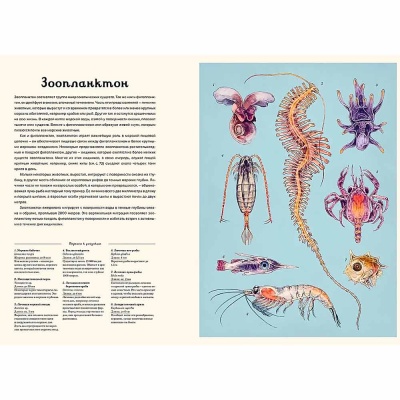 Энциклопедия Океанариум Махаон 50206772 3