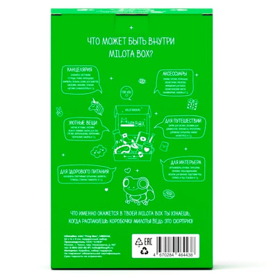 Подарочный набор MilotaBox Frog Box mini iLikeGift MBS045 2