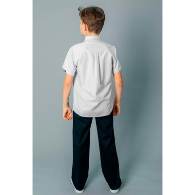 Рубашка школьная с коротким рукавом для мальчика Deloras С71752S светло серая 3