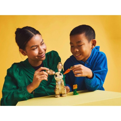 Конструктор Lego Creator 31162 Милый кролик