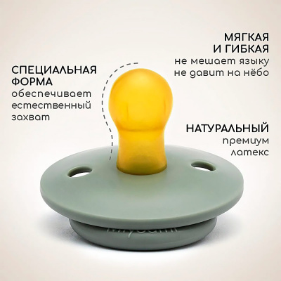 Набор латексных пустышек 2 шт в контейнере 6-18 мес Miyoumi S0001/216+250/6-18 4