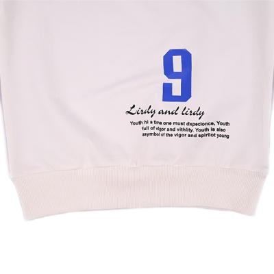 Свитшот демиcезонный для мальчика Seabird Sr A003