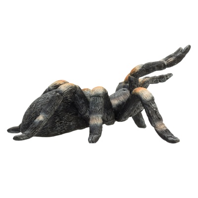 Фигурка Красноколенный тарантул Konik AMW2097 4