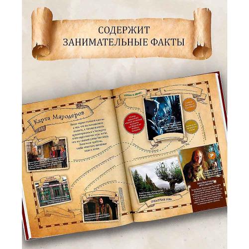 Книга Лучшие головоломки по волшебному миру Гарри Поттера АСТ 50220859 фото 2