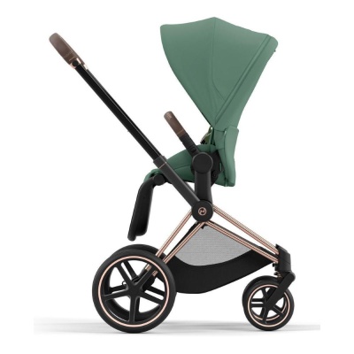 Коляска 2 в 1 Cybex Priam IV Rosegold Leaf Green