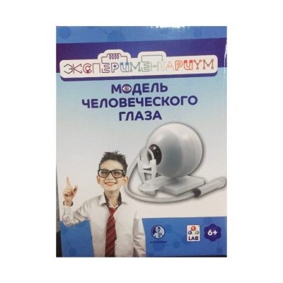 Набор Экспериментариум Модель глаза 1 Toy Т21878 1