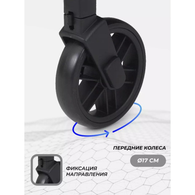 Коляска прогулочная Rant Basic Vega RA105 Graphite