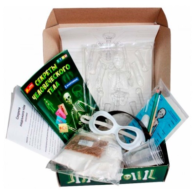 Набор для экспериментов Анатомия Скелет человека Ranok 12115017Р 1