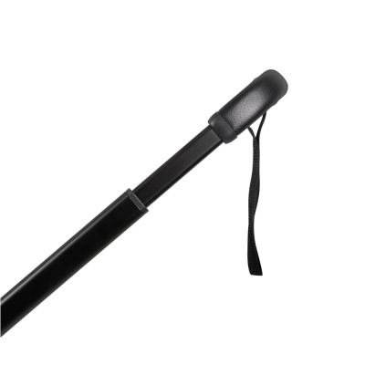 Коляска 2 в 1 Indigo Sting бежевый