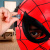 Игрушка Светящаяся маска Spider-Man Hasbro F88395L00 Игрушка Светящаяся маска Spider-Man Hasbro F88395L00