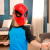Игрушка Светящаяся маска Spider-Man Hasbro F88395L00 Игрушка Светящаяся маска Spider-Man Hasbro F88395L00
