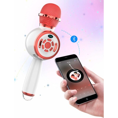 Микрофон Караоке DS810 3