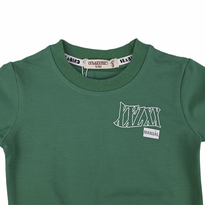 Свитшот демисезонный для мальчиков Seabird Sr 5514