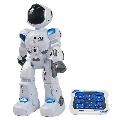 Робот радиоуправляемый Пультовод Zhorya ZYA-A3065 1