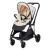 Коляска прогулочная Avery Happy Baby Sand