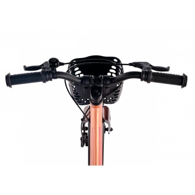 Велосипед детский Maxiscoo Jazz Pro 18 MSC-J1841P пудра