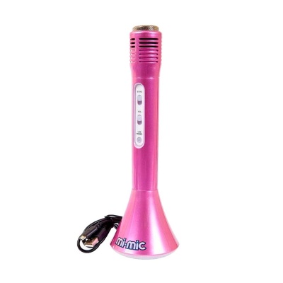 Микрофон Звезда караоке Wilton Bradley Ltd TY5899 2