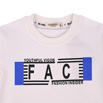 Свитшот демиcезонный для мальчика Seabird Sr A003