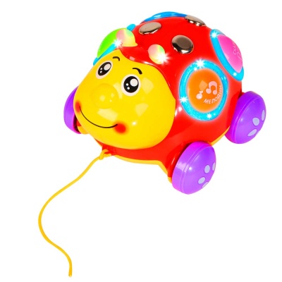 Развивающая игрушка Чудо Жук Play Smart JB0205315