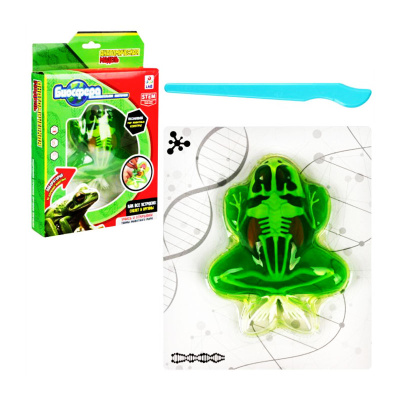 Игровой набор LAB БИОсфера Лягушка 1toy Т26722 3