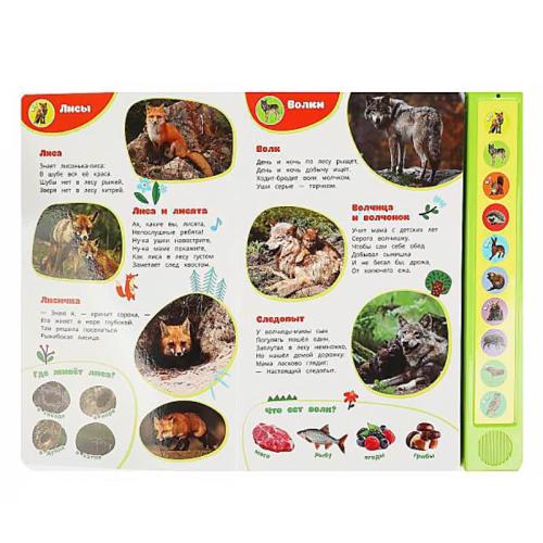 Книга интерактивная озвученная Лесные жители Умка 9785506085157 (24) фото 2