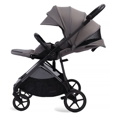 Прогулочная коляска Peppy Amici Grey рама серая 04