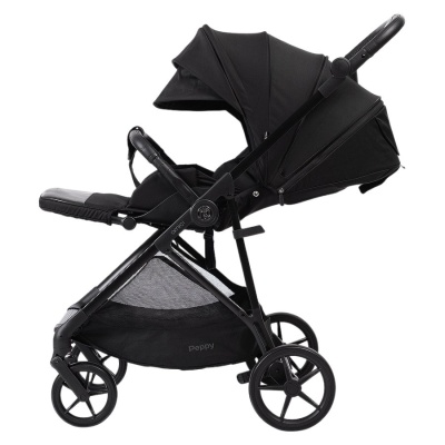 Прогулочная коляска Peppy Amici Black рама Black