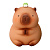 Копилка Capybara Frog Friend iLikeGift BB2574-7-02