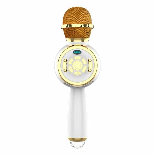 Микрофон Караоке DS810 фото 2