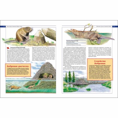 Красная книга России Животные Росмэн 27867