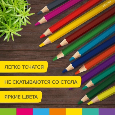 Карандаши цветные утолщённые 24 цвета Brauberg Kids 181879