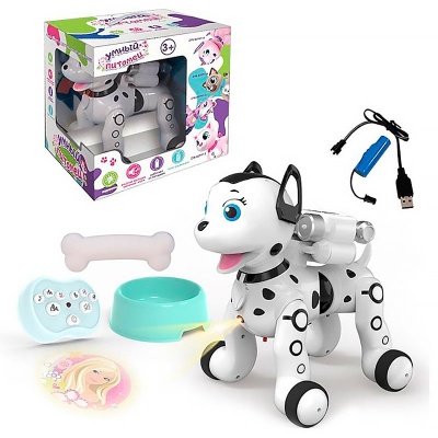 Щенок радиоуправляемый с аксессуарами Наша игрушка ZYB-B2997-3