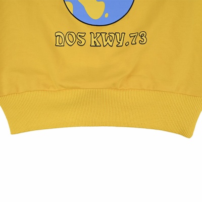 Свитшот демисезонный для мальчика Seabird Sr A004