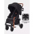 Коляска прогулочная Rant Vega RA057 Black