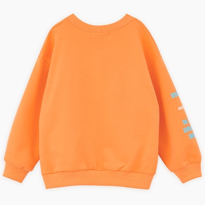 Свитшот для мальчика Bellbimbo М.250035 абрикосовый 3