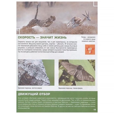 Гигантская детская 4D энциклопедия АСТ 9785171190156 2