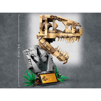 Конструктор Lego Jurassic World 76964 Окаменелости динозавров: череп Ти-Рекса 04
