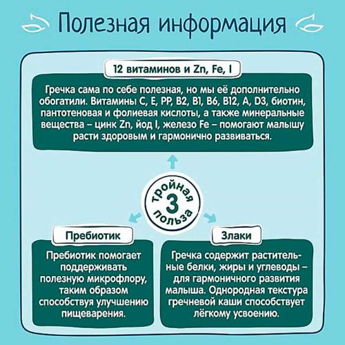 Каша молочная гречневая с черносливом 200 г от 4 месяцев ФрутоНяня 93657 фото 3